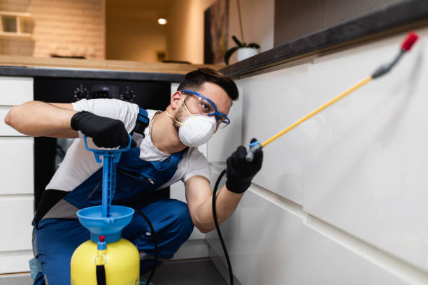 Professional Pest Control in Ellisville, MS