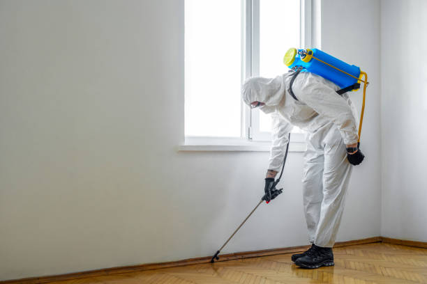 Best Pest Control Near Me in Ellisville, MS