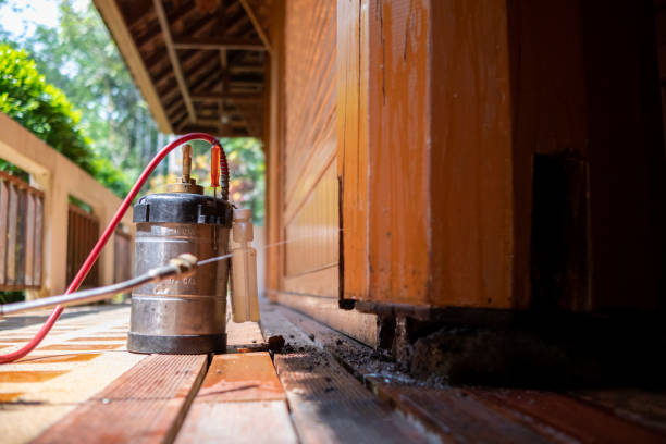 Best Termite Control Services  in Ellisville, MS
