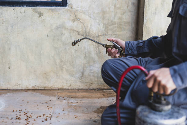 Best Emergency Pest Control  in Ellisville, MS